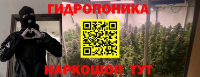 СК Лесосибирск