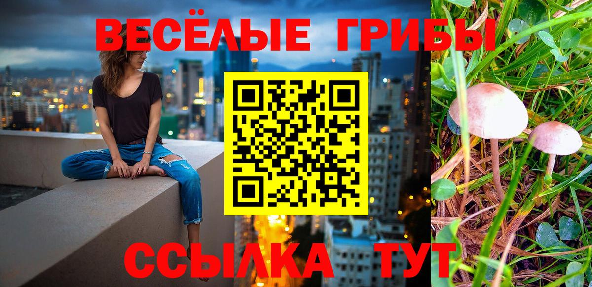Гатчина  Галлюциногенные грибы Psilocybe  Вход с VPN 